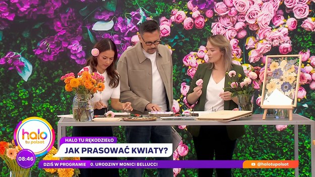 Dziś w “halo tu polsat” gościliśmy wyjątkową artystkę — Darię Mazurowską. Kobieta własnoręcznie tworzy ozdoby, które wyglądają jak małe dzieła sztuki. Daria w studiu wyjaśniła między innymi, na czym dokładnie polega prasowanie kwiatów oraz czy można użyć do tego żelazka.