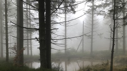 Ślisko, mgliście i zimno. Trudne warunki w Beskidach