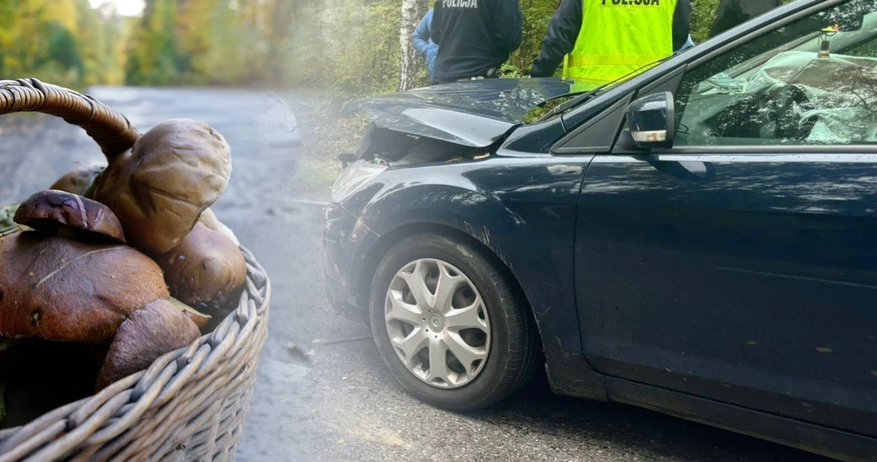 Wypadek na finale grzybobrania. Policja apeluje do kierowców