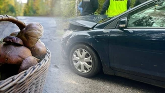 Grzybobranie zakończyło się wypadkiem. Policja zaapelowała do kierowców