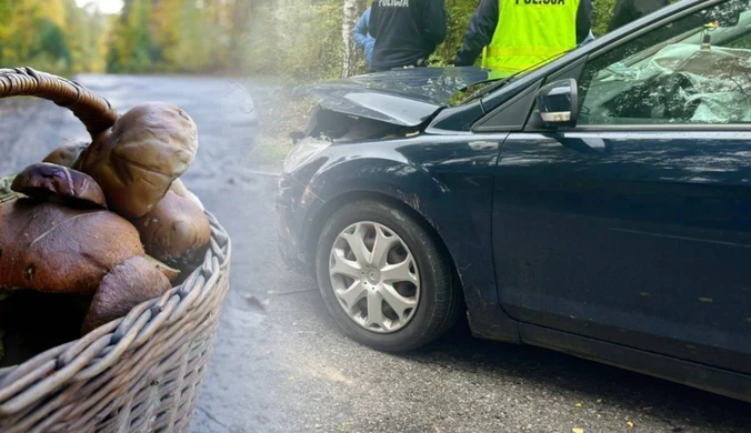 Grzybobranie zakończyło się wypadkiem. Policja zaapelowała do kierowców