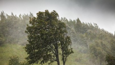 Kirk nadciąga nad Europę. IMGW ostrzega przed silnym wiatrem