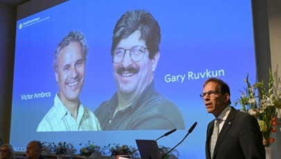 Victor Ambros i Gary Ruvkun laureatami Nobla z medycyny 