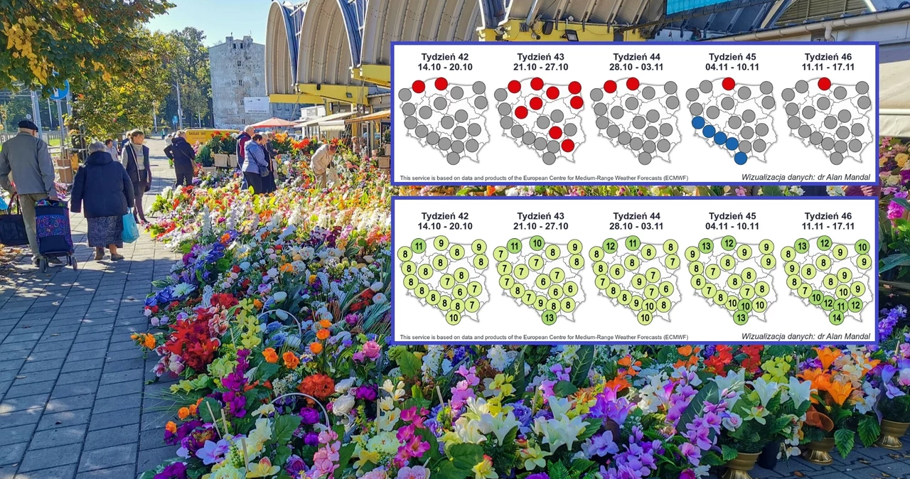 Pogoda na Dzień Wszystkich Świętych i Zaduszki może się okazać dla nas łaskawa. Na północy w tym czasie może być cieplej niż zazwyczaj