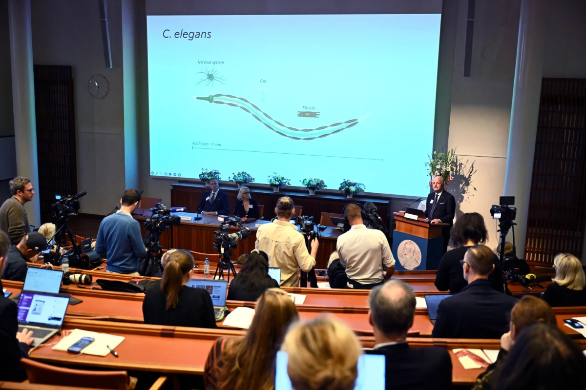 Tegoroczną nagrodę Nobla otrzymali Amerykanie Victor Ambros z University of Massachusetts Medical School i Gary Ruvkun z Massachusetts General Hospital and Harvard Medical School za badania dotyczące istotnych mechanizmów regulacji aktywności genów. To właśnie te mechanizmy sprawiają, że choć wszystkie komórki organizmu mają identyczny zestaw genów, komórki różnych organów wykorzystują tylko te, które dotyczą ich roli. Jak podkreślił Instytut Karoliński w Sztokholmie Ambros i Ruvkun zostali wyróżnieni za odkrycie tzw. mikroRNA, nowej klasy niewielkich cząsteczek RNA, które w tym procesie odgrywają kluczową rolę. 