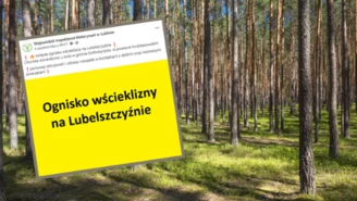 Pilny apel służb weterynaryjnych. "Nie dotykać preparatu"