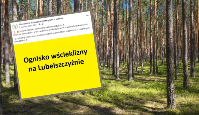 Pilny apel służb weterynaryjnych. "Nie dotykać preparatu"