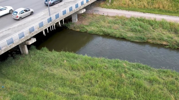 Najlepsze wskaźniki czystości wody w rzece? Oczywiście ryby, ale też makro-bezkręgowce widoczne gołym okiem. Uczennice z lubelskiego Zespołu Szkół Chemicznych postanowiły sprawdzić, jak wiedza zdobyta na lekcjach biologii przekłada się na rzeczywistość. Wcieliły się w role naukowców i przyjrzały bliżej temu, co mieszka w rzece Bystrzyca. O bardzo zaskakujących wnioskach ich prac opowie Adrianna Borowicz.   