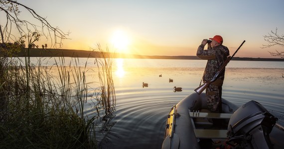 Ministerstwo Klimatu i Środowiska planuje zakazać polowań na siedem gatunków ptaków, w tym m.in. na krzyżówki, cyraneczki i łyski. Według resortu ptaki te nie wpływają negatywnie na przyrodę i nie powodują szkód w uprawach rolnych.