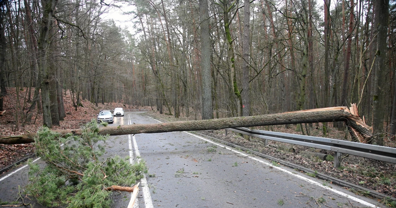 RCB ostrzega przed bardzo silnym wiatrem na Podkarpaciu. Ostrzeżenie trafiło do odbiorców w trzech powiatach