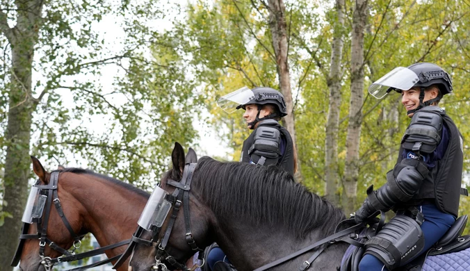 Sukces stołecznej policji. Konie gotowe do służby