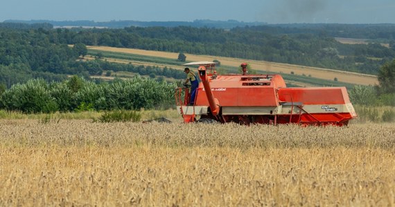 Prokuratura Regionalna w Rzeszowie ujawniła kolejne fakty w aferze dotyczącej importu ukraińskiego zboża. Dotychczas śledczy przedstawili zarzuty 19 osobom; dwie z nich usłyszały już wyroki.