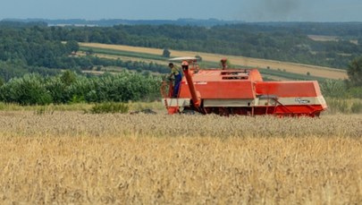 Afera zbożowa. Rzeszowska prokuratura wydała nowy komunikat