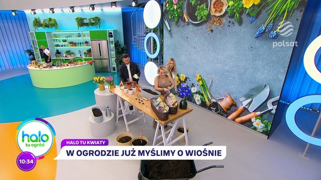 W studio gościmy Katarzynę Jodę-Wójcik, która zachęca do posadzenia cebulek roślin ozdobnych, zanim nadejdą pierwsze mrozy. Cebule spokojnie przezimują w donicach albo w gruncie, a na wiosnę wybuchną kolorami, zdobiąc nasz taras, balkon, ogród albo działkę. Ogrodniczka Kasia zdradza też, jaki będzie hit najbliższej wiosny, jeśli chodzi o kompozycje roślin cebulowych. Zobaczcie, czym jest “wiosenna lazania” i jak ją przygotować.