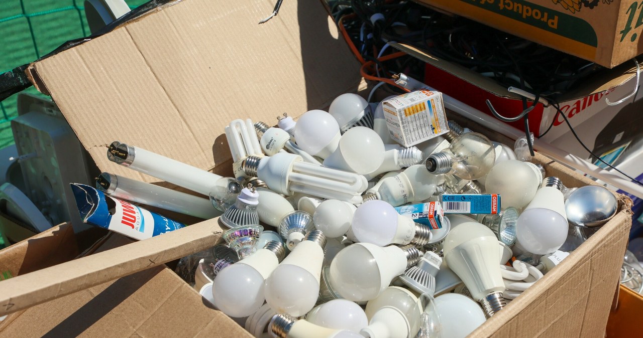 Jeden z najczęstszych błędów. Ludzie wybierają zielony pojemnik