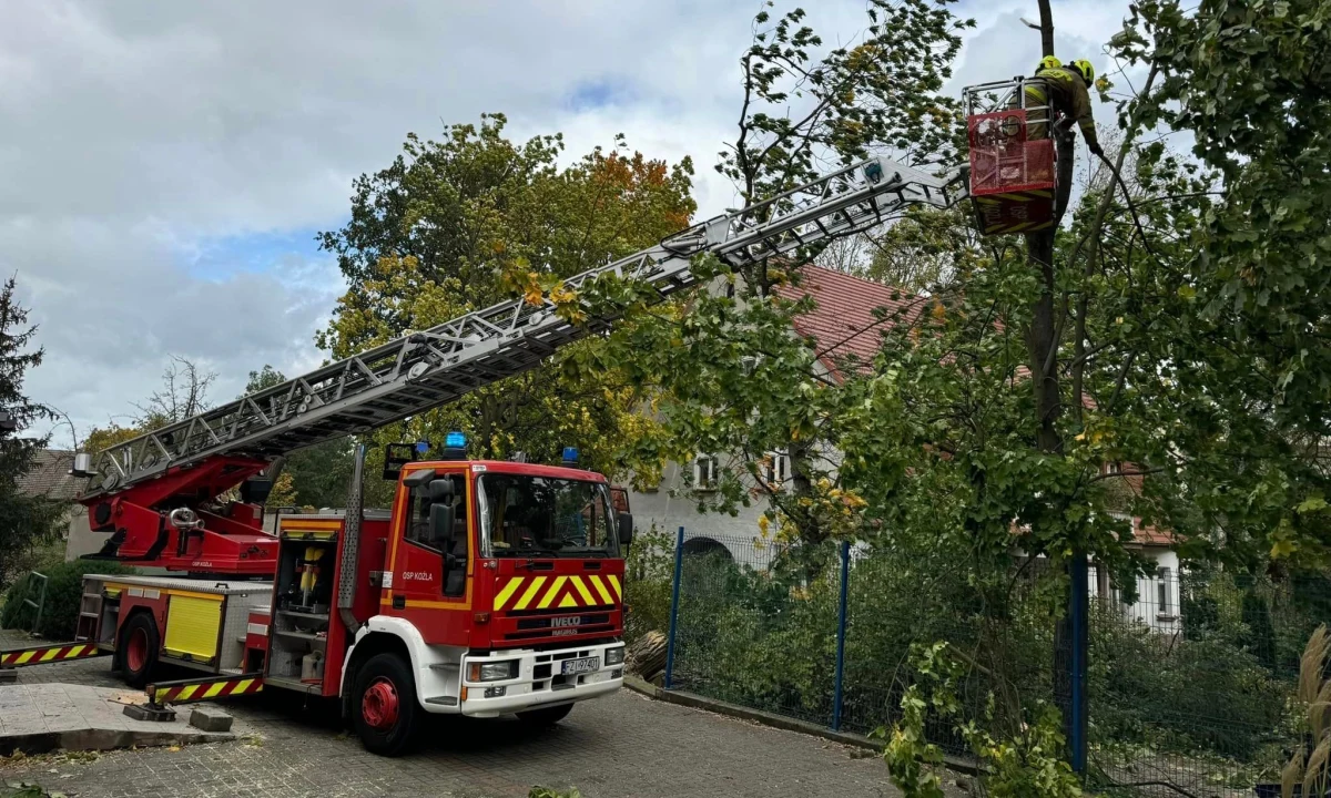 ​Silny wiatr daje się we znaki mieszkańcom zachodniej Polski. W niedzielę wichura spore szkody wyrządziła w Zielonej Górze, gdzie na dach jednego z przedszkoli przewróciły się dwa drzewa. Na szczęście nikomu nic się nie stało.
