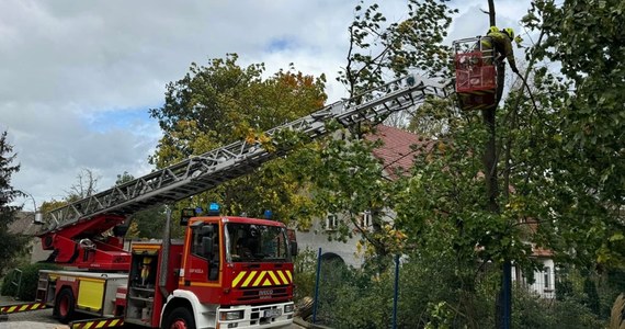 ​Silny wiatr daje się we znaki mieszkańcom zachodniej Polski. W niedzielę wichura spore szkody wyrządziła w Zielonej Górze, gdzie na dach jednego z przedszkoli przewróciły się dwa drzewa. Na szczęście nikomu nic się nie stało.