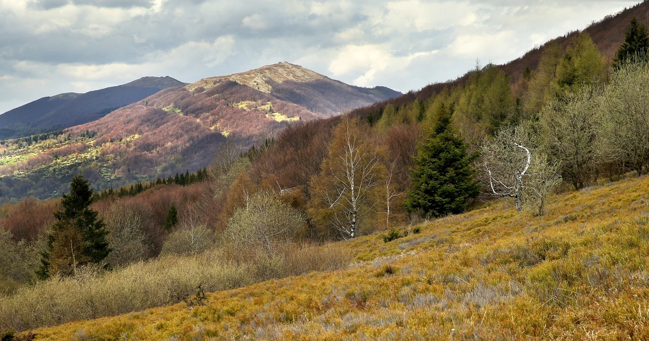 Bieszczady jesienią