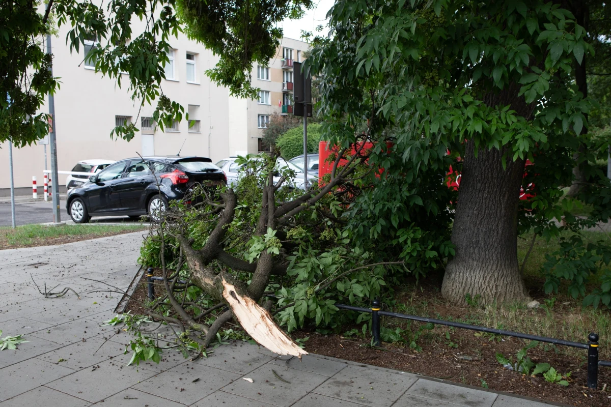 Wichura, która przeszła przez powiat pleszewski (woj. wielkopolskie) spowodowała dużo zniszczeń. Zerwanie zostały m.in. linie energetyczne.