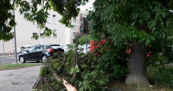 Wichura, która przeszła przez powiat pleszewski (woj. wielkopolskie) spowodowała dużo zniszczeń. Zerwanie zostały m.in. linie energetyczne.