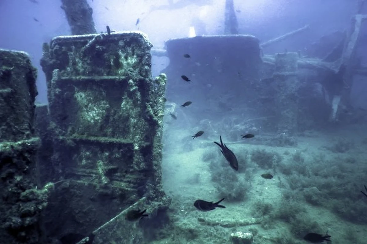 Wrak legendarnego okrętu "Hetman Żółkiewski", należący do Marynarki Wojennej II RP, odkryto w Narwi. "Wszystkie tajemnice polskiej marynarki zostały tam zatopione, aby nie wpadły w ręce Niemców" - powiedział współodkrywca Sławomir Kaliński.