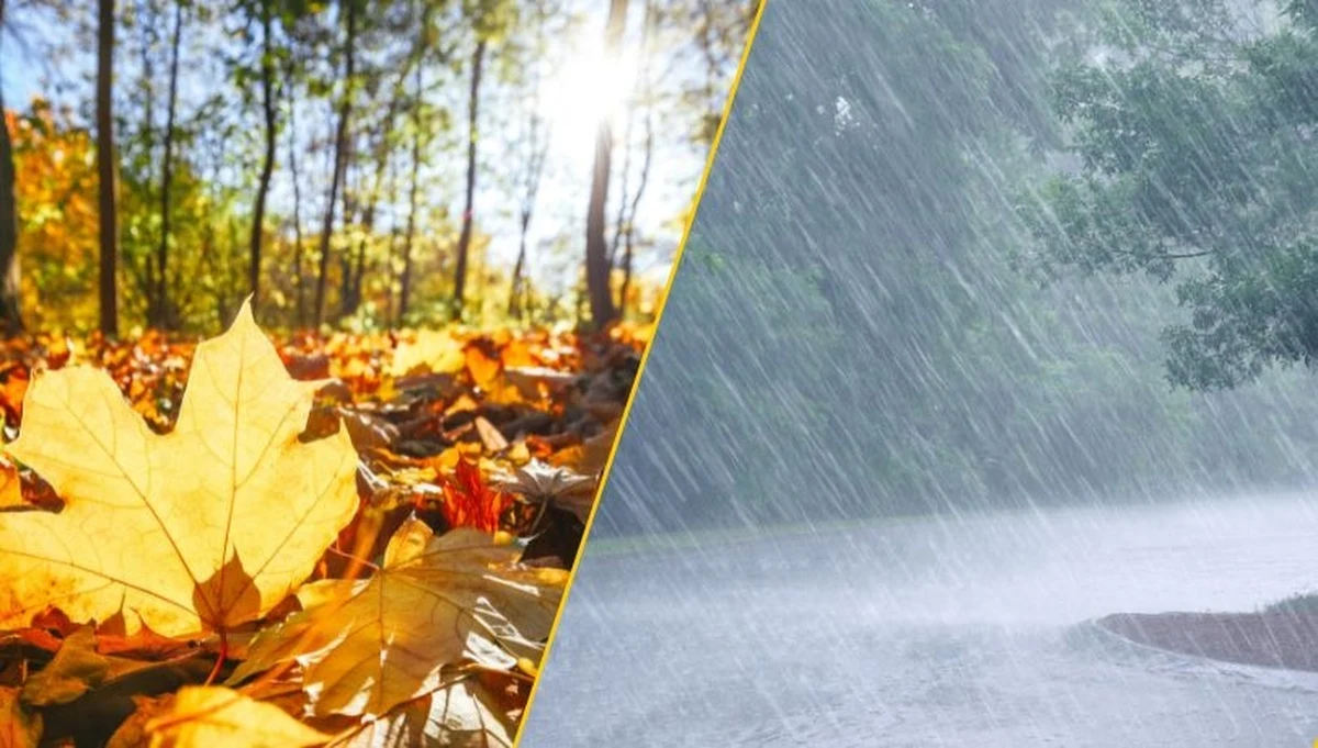 Po kilku nieprzyjemnych pogodowo dniach na horyzoncie pojawia się promyk nadziei na lepszą aurę w drugiej połowie miesiąca. Nie wszędzie jednak słupki na termometrach będą równie wysokie. W których regionach kraju można liczyć na złotą polską jesień?