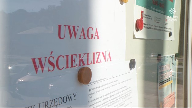 W ubiegłym roku było tylko jedno ognisko w tym jest ich aż siedem. Stąd ostrzeżenia dla mieszkańców i akcje służb.Materiał dla "Wydarzenia" przygotowała Aleksandra Dunajska-Minkiewicz.