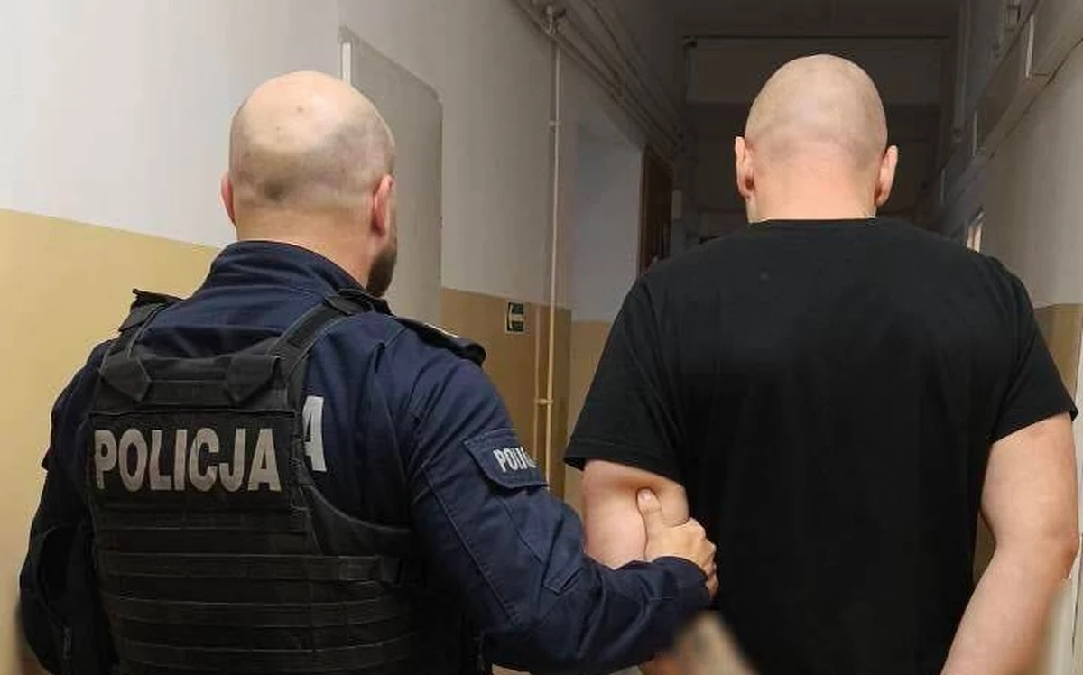 5 lat pozbawienia wolności grozi 38-latkowi, który w Gdańsku zaatakował kierowcę taksówki, Ukraińca. "Pluł na niego, wyzywał i kazał wracać na Ukrainę" - poinformowała pomorska policja w poniedziałek. To jednak nie wszystkie przewinienia agresora. 