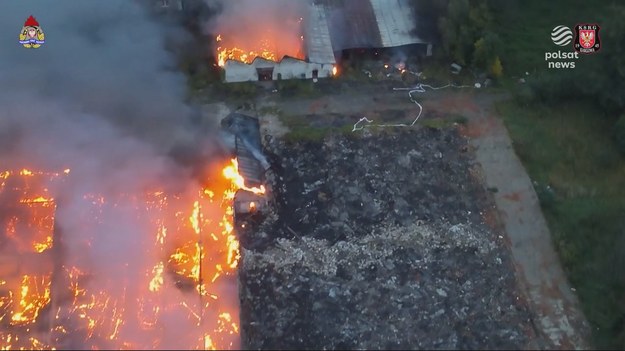 Niemal sto osób trzeba było ewakuować w Sulechowie w Lubuskiem. Potężny pożar pojawił się w dawnej fabryce mebli. Doszczętnie spłonęły trzy hale, na razie nie wiadomo dlaczego. Mieszkańcy wrócili do domu w strachu, bo ogień w tym miejscu pojawił się już czwarty raz. Materiał dla "Wydarzeń" przygotował Piotr Kotwicki.