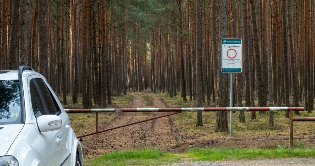 Pijany kierowca jechał na grzyby. Został zatrzymany 