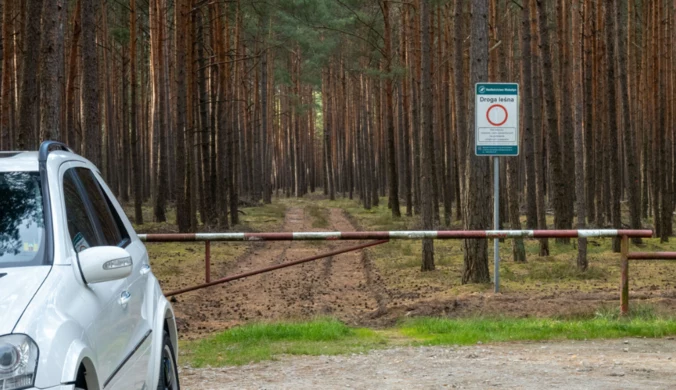 "Wężykiem" ruszył na grzybobranie. Reakcja świadka błyskawiczna