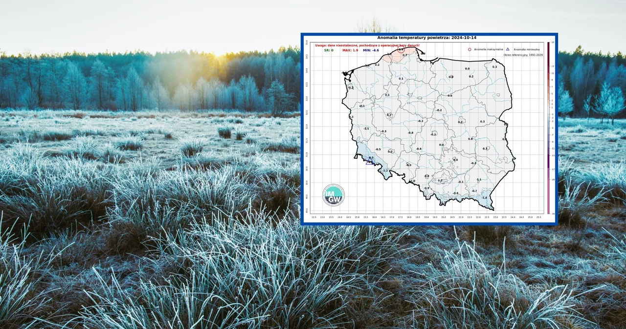 W tym tygodniu musimy się przygotować na prawdziwą serię nocnych i porannych przymrozków. Według prognoz IMGW przy gruncie będzie mróz sięgający nawet -3 st. C