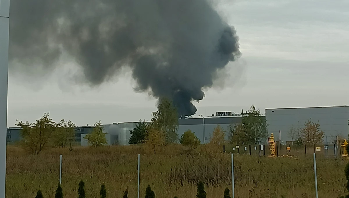 Płoną namioty magazynowe w Tajęcinie koło Jasionki pod Rzeszowem. Niedaleko miejsca pożaru znajduje się lotnisko. Informację o pożarze otrzymaliśmy na Gorącą Linię RMF FM. 