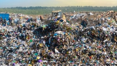 Marnujemy żywność na potęgę. Zatrważające dane z Polski i UE