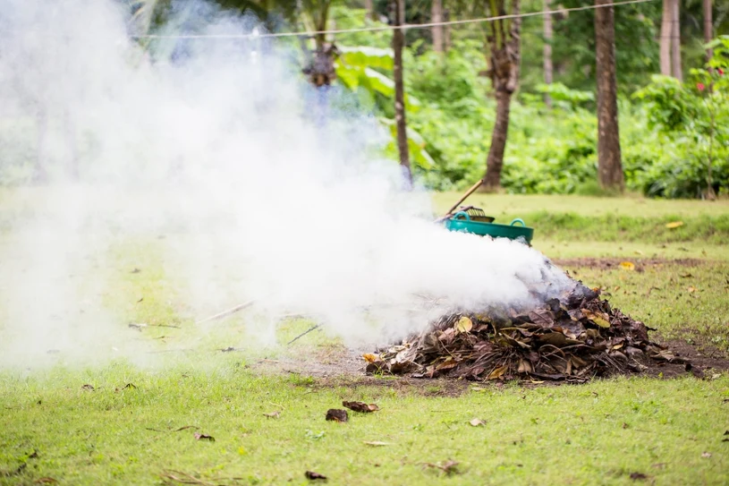 Za palenie gałęzi na działce może być kara. Jak zrobić to bez mandatu?