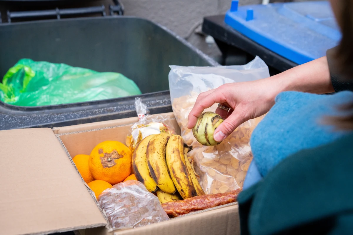 Badania przeprowadzone przez Komisję Europejską dowodzą, że nieprawidłowe rozumienie oznaczeń "najlepiej spożyć przed" oraz "należy spożyć do" przyczynia się do marnowania ok. 10 proc. żywności w Unii Europejskiej. Polska nie jest wyjątkiem w tej kwestii. Jak pokazują najnowsze badania Opinia24 dla Too Good To Go, aż 52 proc. respondentów przyznaje, że ma problem z rozróżnieniem tych dwóch terminów. 