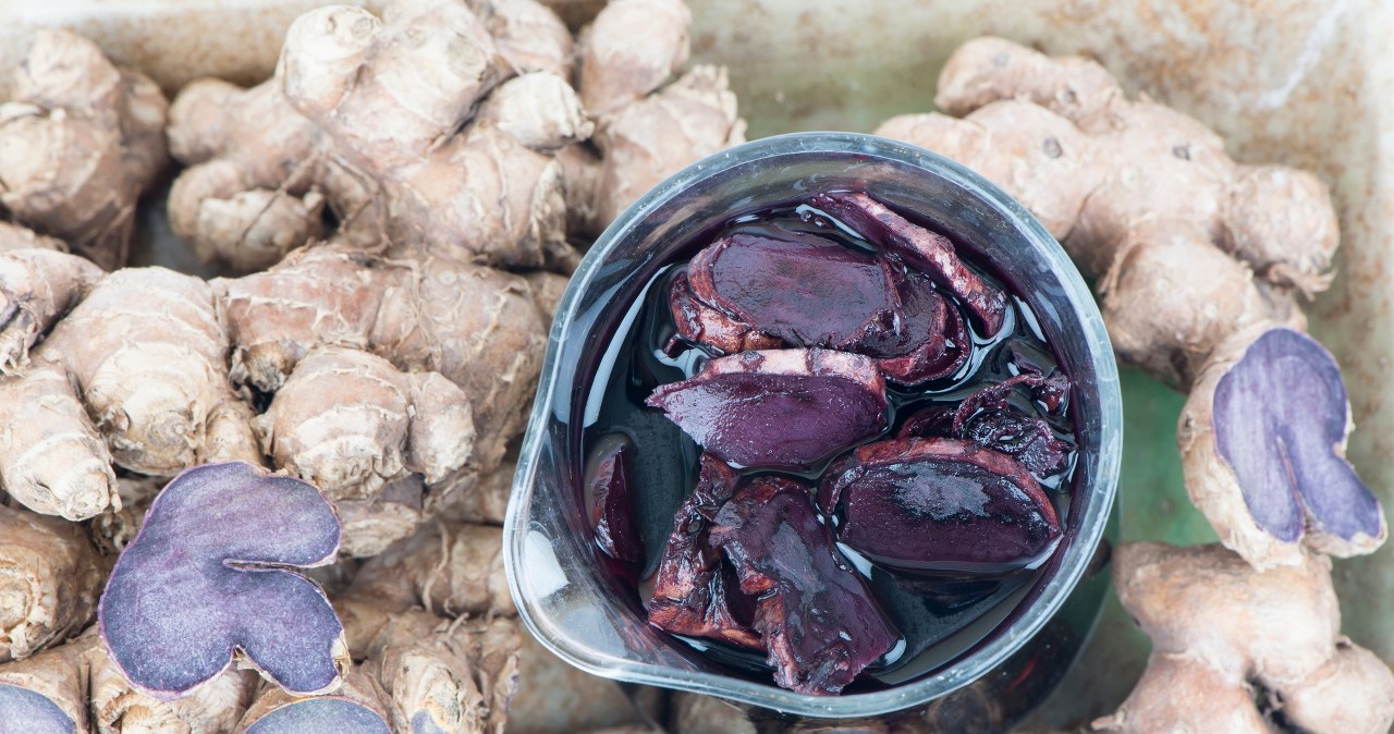 Daleki kuzyn imbiru odpędza bakterie i pomaga zatrzymać młodość. Ma też coś z żeń-szenia