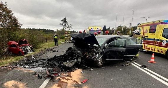 Zarzut usiłowania zabójstwa usłyszał 22-latek, który spowodował wypadek na drodze krajowej nr 25 w podbydgoskiej Brzozie w Kujawsko-Pomorskiem. Sąd zdecydował o aresztowaniu mężczyzny na 3 miesiące. 