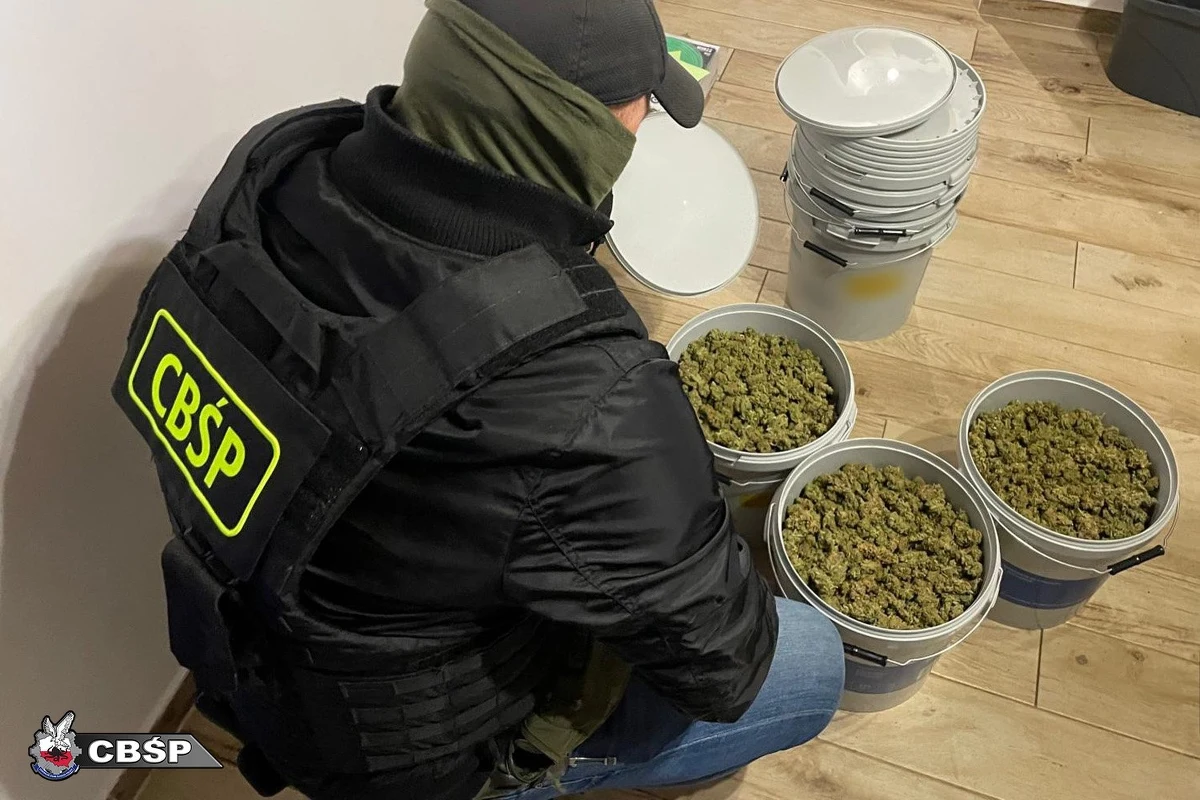 Służby zatrzymały 19 osób i przejęły równowartość ponad 850 tys. zł w gotówce, luksusowe zegarki oraz blisko 14 kg narkotyków - amfetaminę, marihuanę i mefedron. Zatrzymana grupa przemyciła przez Niderlandy z Kolumbii do Polski, 360 kg czystej kokainy o wartości 72 mln zł. Ponadto jeden z zatrzymanych jest podejrzany o zabójstwo sprzed 22 lat.