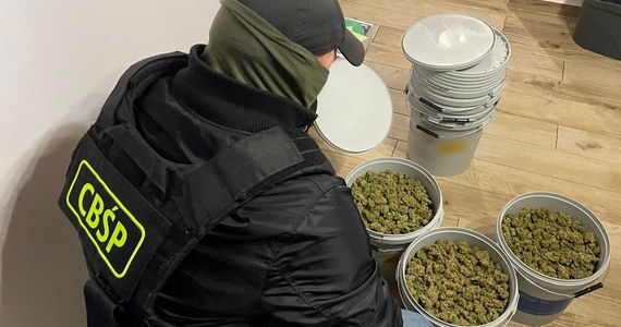 Służby zatrzymały 19 osób i przejęły równowartość ponad 850 tys. zł w gotówce, luksusowe zegarki oraz blisko 14 kg narkotyków - amfetaminę, marihuanę i mefedron. Zatrzymana grupa przemyciła przez Niderlandy z Kolumbii do Polski, 360 kg czystej kokainy o wartości 72 mln zł. Ponadto jeden z zatrzymanych jest podejrzany o zabójstwo sprzed 22 lat.