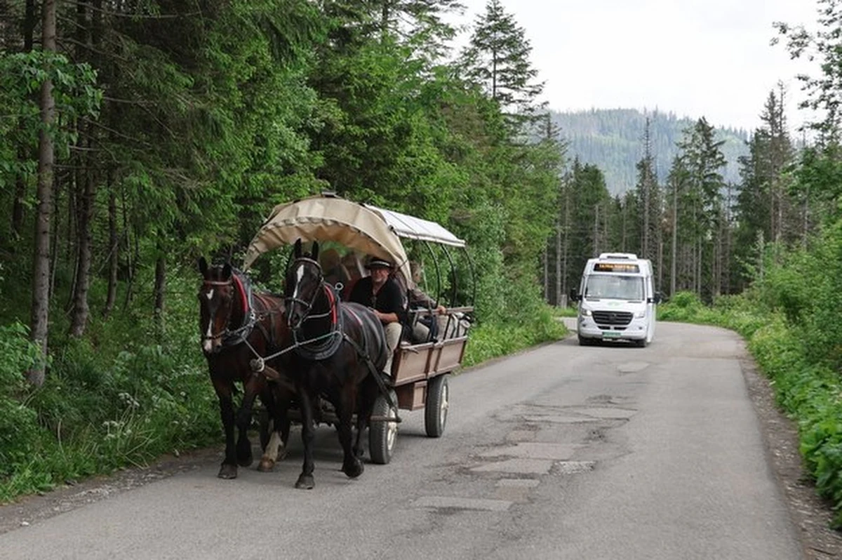 Do końca roku mają zostać kupione cztery elektryczne busy, które będą wozić do Morskiego Oka osoby z niepełnosprawnościami - powiedziała Magdalena Zwijacz-Kozica z Tatrzańskiego Parku Narodowego (TPN). Finansowanie zapewnił resort klimatu. Zakup nie oznacza jednak likwidacji transportu konnego.