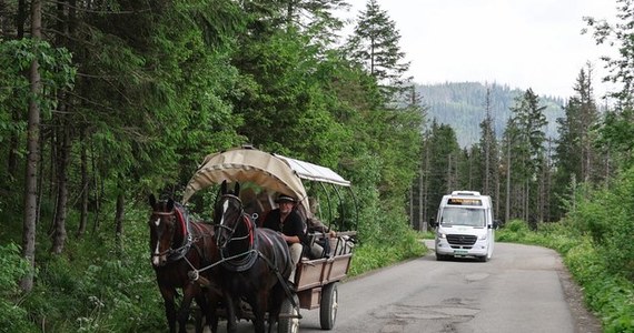 Do końca roku mają zostać kupione cztery elektryczne busy, które będą wozić do Morskiego Oka osoby z niepełnosprawnościami - powiedziała Magdalena Zwijacz-Kozica z Tatrzańskiego Parku Narodowego (TPN). Finansowanie zapewnił resort klimatu. Zakup nie oznacza jednak likwidacji transportu konnego.