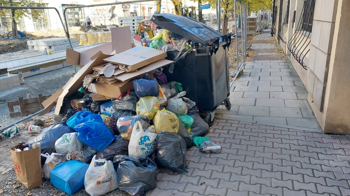 "Górka odpadów rośnie w oczach i zaraz zaczną biegać tu szczury" – zaalarmowali reportera RMF MAXX mieszkańcy ul. Kościuszki w Krakowie. Po interwencji naszego dziennikarza nielegalna górka śmierci, wraz z pojemnikiem, który był ustawiony w złym miejscu, zostały usunięte. 