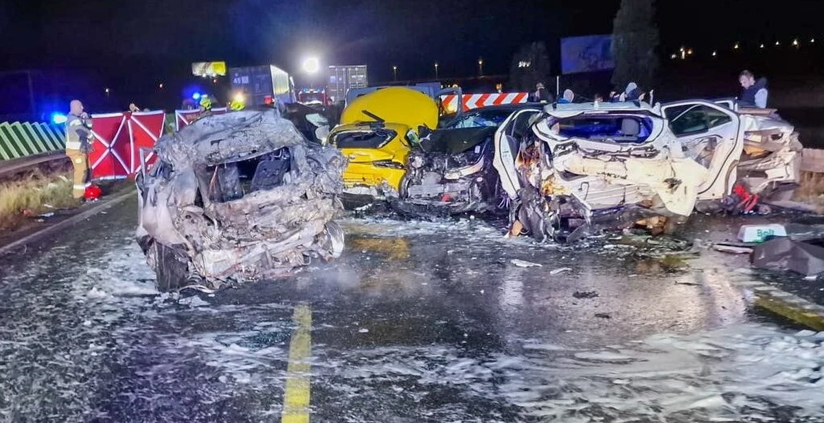 W tym tygodniu biegły z zakresu mechanoskopii zbada ciężarówkę, która w nocy z piątku na sobotę uczestniczyła w karambolu na S7. Zginęły cztery osoby, w tym dwóch chłopców. Dziś zostanie przeprowadzona sekcja zwłok ofiar. Tożsamość dwóch trzeba będzie ustalić na podstawie badań DNA.