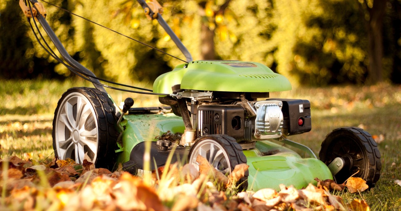 Zrób to z trawnikiem przed zimą. Inaczej wiosną zieleń będzie marna