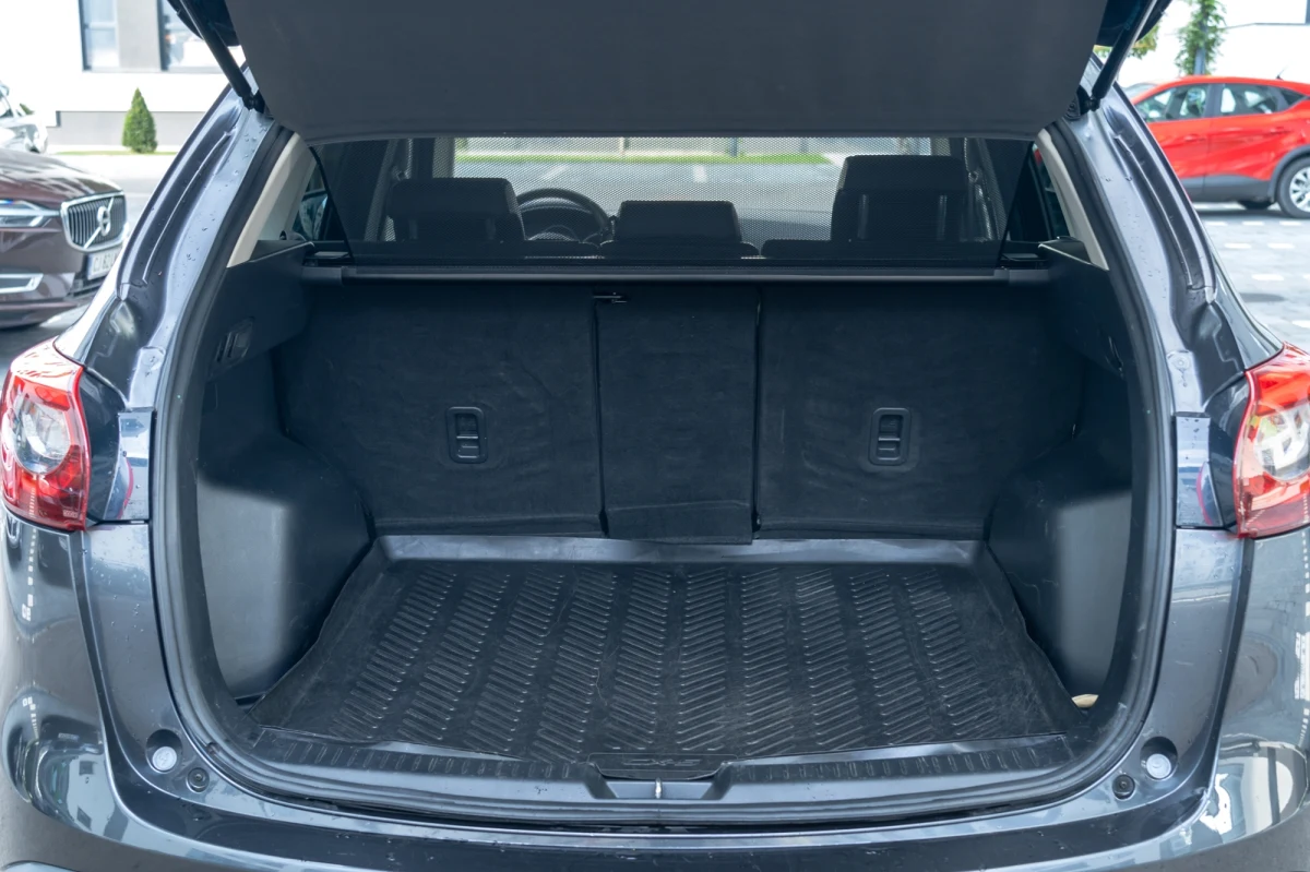 Policja w Krakowie otrzymała zgłoszenie o uprowadzeniu małego dziecka. Funkcjonariuszom udało się ustalić mężczyznę, który miał to zrobić. Po przyjeździe na miejsce okazało się, że w domu zamiast dziecka był… pies. 