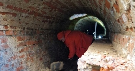 Na tajemniczy ceglany kanał natknęli się pracownicy firmy przebudowującej plac Orła Białego w Szczecinie. Konstrukcja pochodzi prawdopodobnie z XVIII wieku, choć zagadką jest, do czego służyła. Z powodu odkrycia trzeba było wstrzymać prace budowlane.