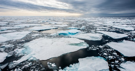 Minister nauki Dariusz Wieczorek zdecydował o przyznaniu środków dla Instytutu Oceanologii Polskiej Akademii Nauk na utrzymanie statku naukowo-badawczego Oceania - poinformował resort nauki. Finansowanie przyznano na trzy lata.