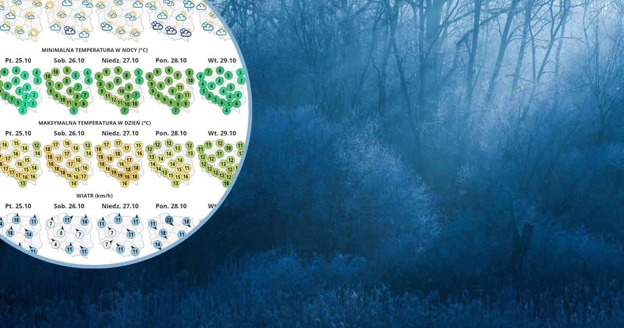 Dwie najbliższe noce na południowym wschodzie przyniosą przygruntowe przymrozki. Lokalnie może być nawet -3 st. C