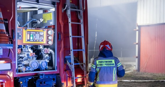 Dwanaście samochodów spłonęło w pożarze garażu przy ul. Klinowej w Łodzi. Część pojazdów ogień strawił we wnętrzu obiektu, ale cztery uległy zniszczeniu na parkingu obok płonącego budynku. Zniszczony został również stojący tam ciągnik. 